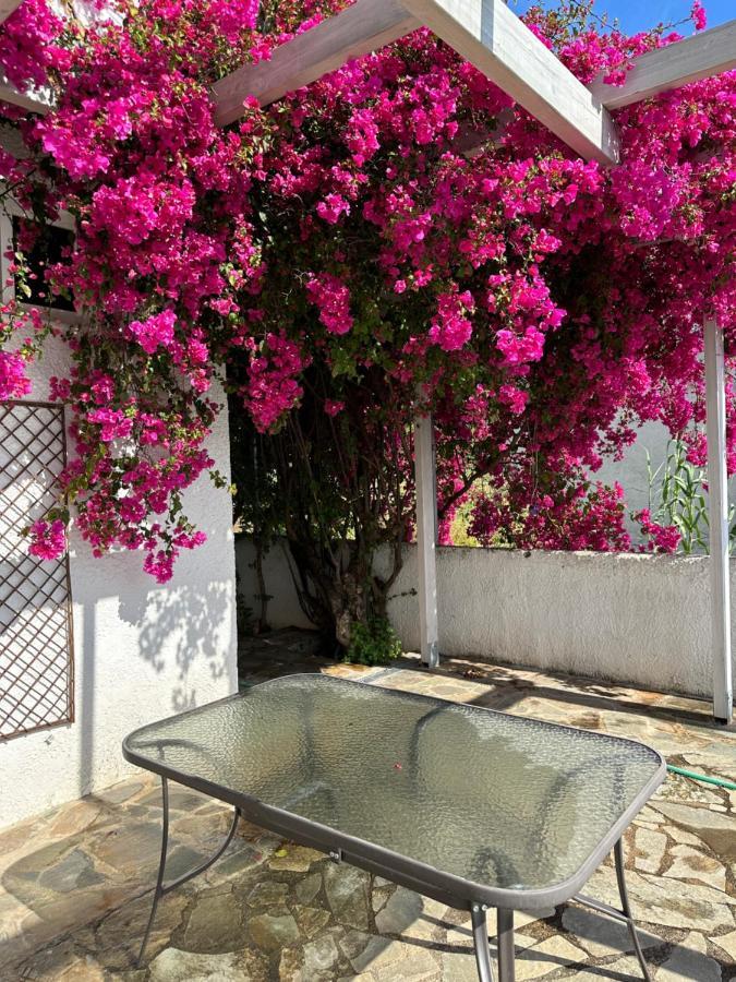Villa Pinelopi Каламата Экстерьер фото