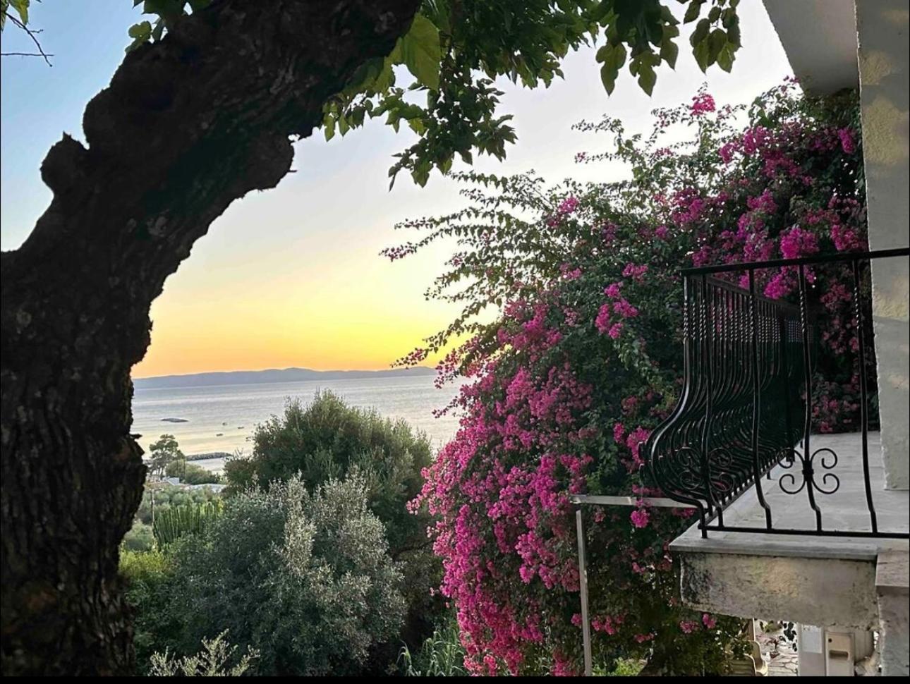 Villa Pinelopi Каламата Экстерьер фото