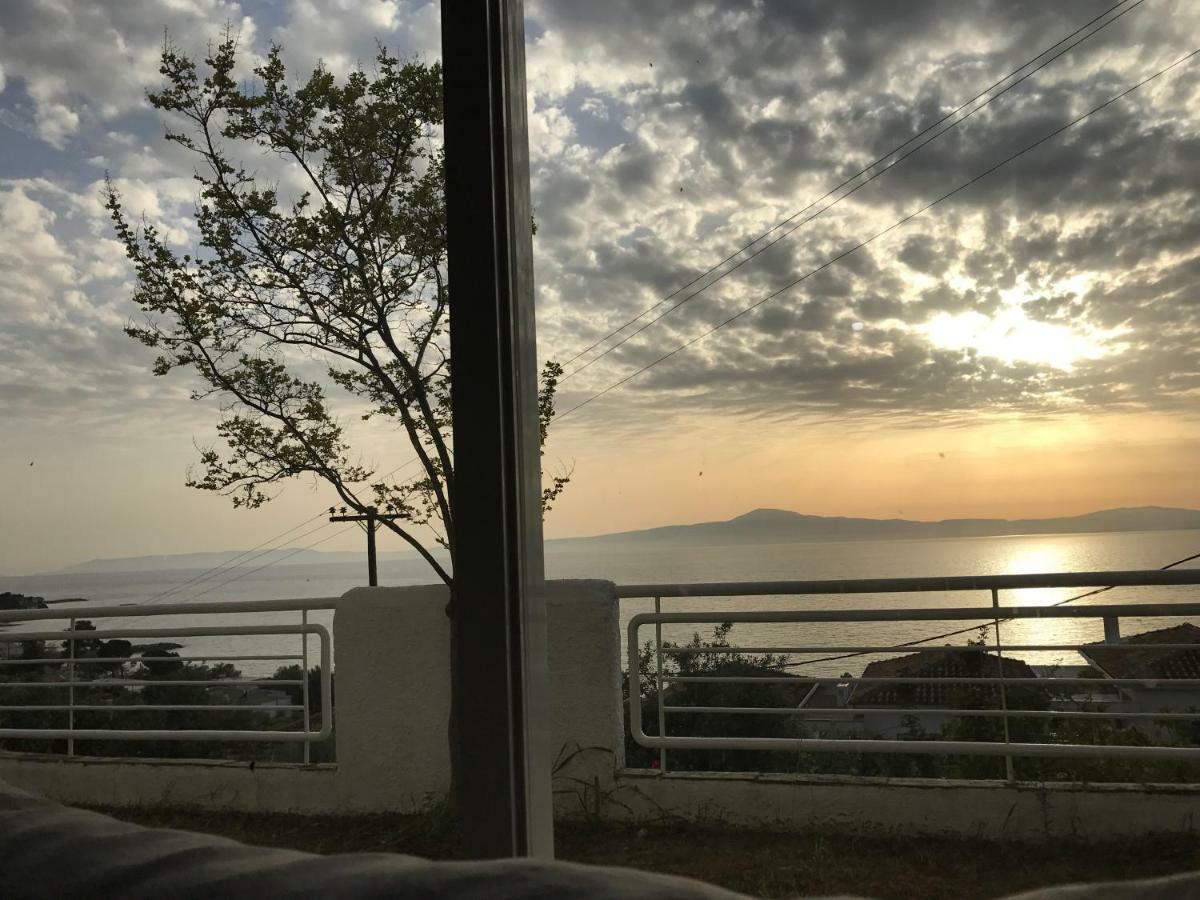 Villa Pinelopi Каламата Экстерьер фото